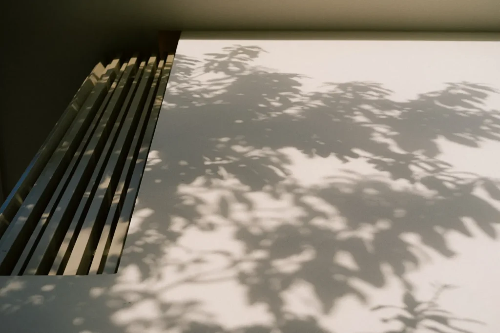 Soft leaf shadows cast across a white wall and wooden slat screen at a spa retreat