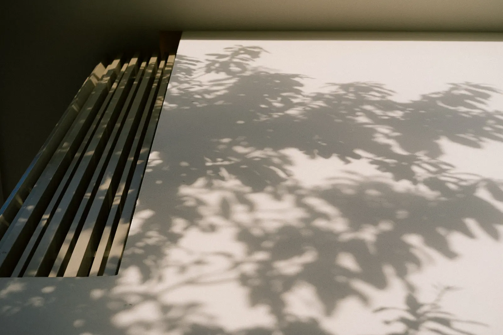 Soft leaf shadows cast across a white wall and wooden slat screen at a spa retreat